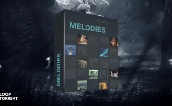 Fluffy Audio Melodies (Kontakt)