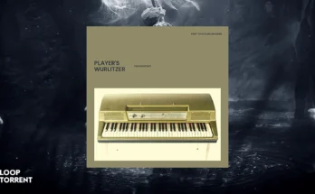 Past to Future Reverbs Players Wurlitzer (Kontakt)