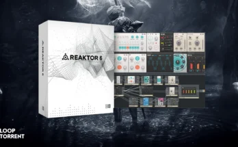 Native Instruments Reaktor 6 BUNDLE WIN OSX + Factory Library