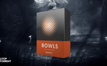 Sonokinetic Bowls 1.4.0 (Kontakt)