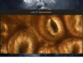 Native Instruments – Leap Soul Gold (KONTAKT)