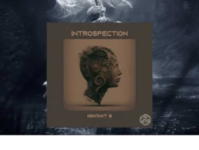 Triple Spiral Audio – Introspection 1.1.0 (KONTAKT)