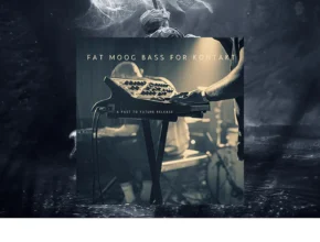 Past to Future Reverbs – Fat Moog Bass (KONTAKT)