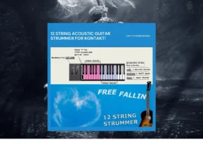 Past to Future Reverbs – Free Fallin 12-String Acoustic Strummer (KONTAKT)