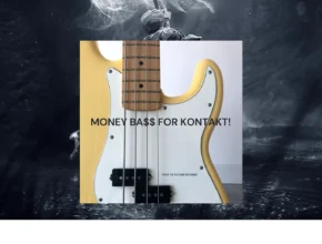 Past to Future Reverbs – Money Bass (KONTAKT) Past to Future Reverbs – Money Bass (KONTAKT)