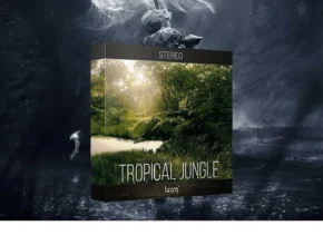 Boom Library – Tropical Jungle (Stereo) (WAV)