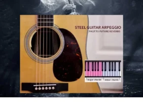 Past to Future Reverbs – Acoustic Steel Guitar Arpeggio (KONTAKT)