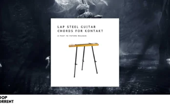 Past to Future Reverbs – Lap Steel Guitar Chords (KONTAKT)