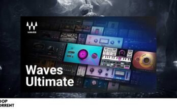 Waves – Ultimate v2024.12.18 for Windows