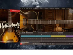 Toontrack – Hollowbody EBX (SOUNDBANK)