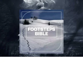 Blastwave FX – Footsteps Bible (WAV)