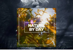 Blastwave FX – Nature by Day (WAV)