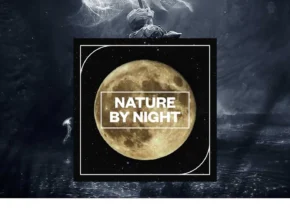 Blastwave FX – Nature by Night (WAV)