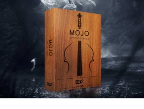 Vir2 Instruments – Mojo Upright Bass 1.0.1 (KONTAKT)