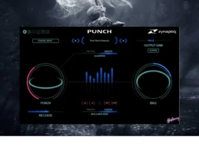 Zynaptiq – PUNCH v1.0.0 for Windows [R2R]