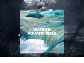 Blastwave FX – Water and Aquatic Bible (WAV)