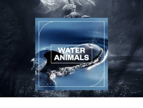 Blastwave FX – Water Animals (WAV)