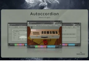 Insanity Samples – Autoccordion Reed Organ (KONTAKT)