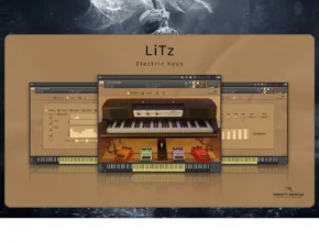 Insanity Samples – LiTz Electric Keys (KONTAKT)