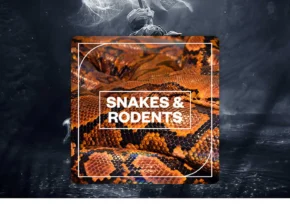 Blastwave FX – Snakes and Rodents (WAV)