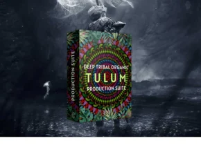 LotusTunes – Tulum (MiDi, WAV, Diva Presets)