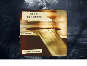 Past to Future Reverbs – Steel Strummer (KONTAKT)