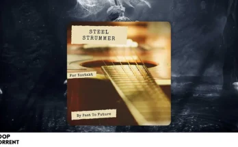 Past to Future Reverbs – Steel Strummer (KONTAKT)