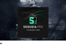 MAGIX – Sequoia Pro 17.2.0.24410 x64 Update Only + Rus [2025]