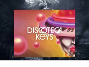 Native Instruments – Play Series Discoteca Keys (KONTAKT)