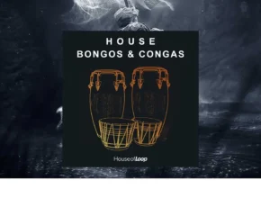 House Of Loop – House Bongos & Congas (WAV)