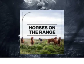 Blastwave FX – Horses on the Range (WAV)