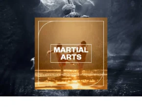 Blastwave FX – Martial Arts (WAV)