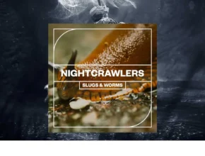 Blastwave FX – Nightcrawlers Slugs and Worms (WAV)