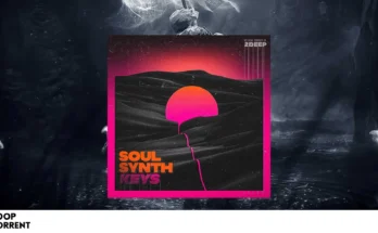 2Deep Beats – Soul Synth Keys (WAV)