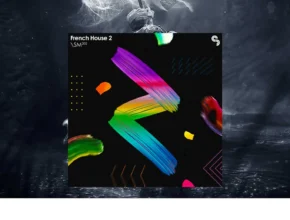 Sample Magic – French House 2 (WAV, MASSIVE)