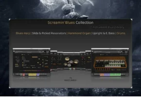 Insanity Samples – Screamin’ Blues Collection 1.0.1 (KONTAKT)