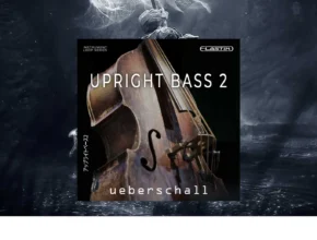 Ueberschall – Upright Bass 2 (ELASTIK)