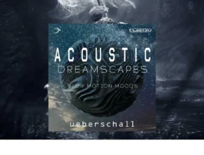 Ueberschall – Acoustic Dreamscapes (ELASTIK)