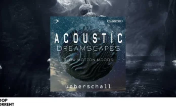 Ueberschall – Acoustic Dreamscapes (ELASTIK)