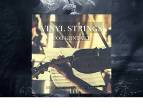 Past to Future Reverbs – Vinyl Strings (KONTAKT, WAV) Past to Future Reverbs – Vinyl Strings (KONTAKT, WAV)