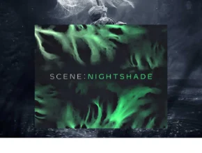 Native Instruments – Scene Nightshade (KONTAKT)